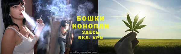 дмт Богородицк