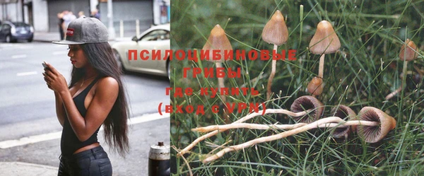 дмт Богородицк