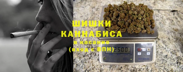 дмт Богородицк