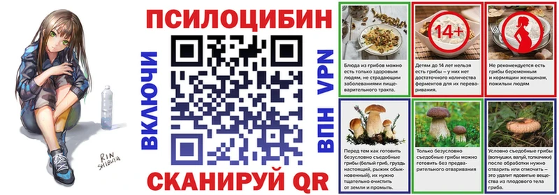 Галлюциногенные грибы Psilocybe Нефтеюганск